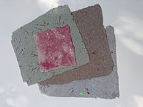 Paper making and Cyanotype workshop