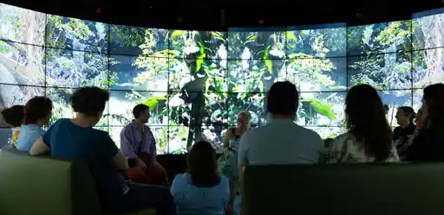 Marian Tubbs: And then plants are confused with stones. Rocks look like brains, stalactites like breasts, veins of iron like tapestries adorned with figures